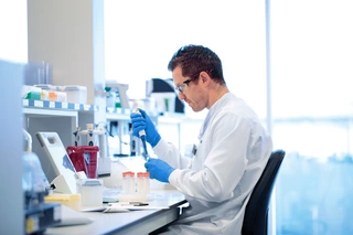 Targeting Agent and Carrier Protein
