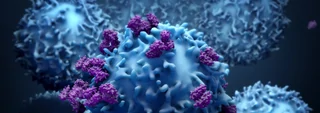 Epibase® <i>in vitro</i>
 and <i>in silico</i>
 Screening