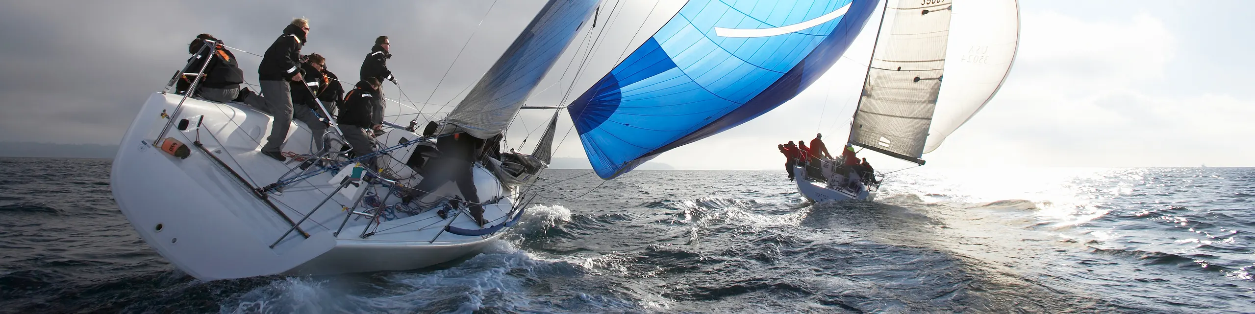 Partnering with Lonza